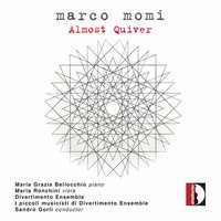 Marco Momi: Almost Quiver